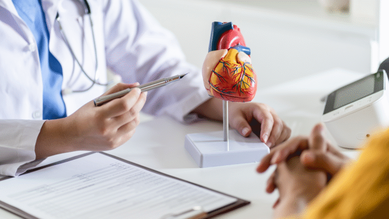 Doctor explaining chronic disease prevention with a heart model during patient consultation