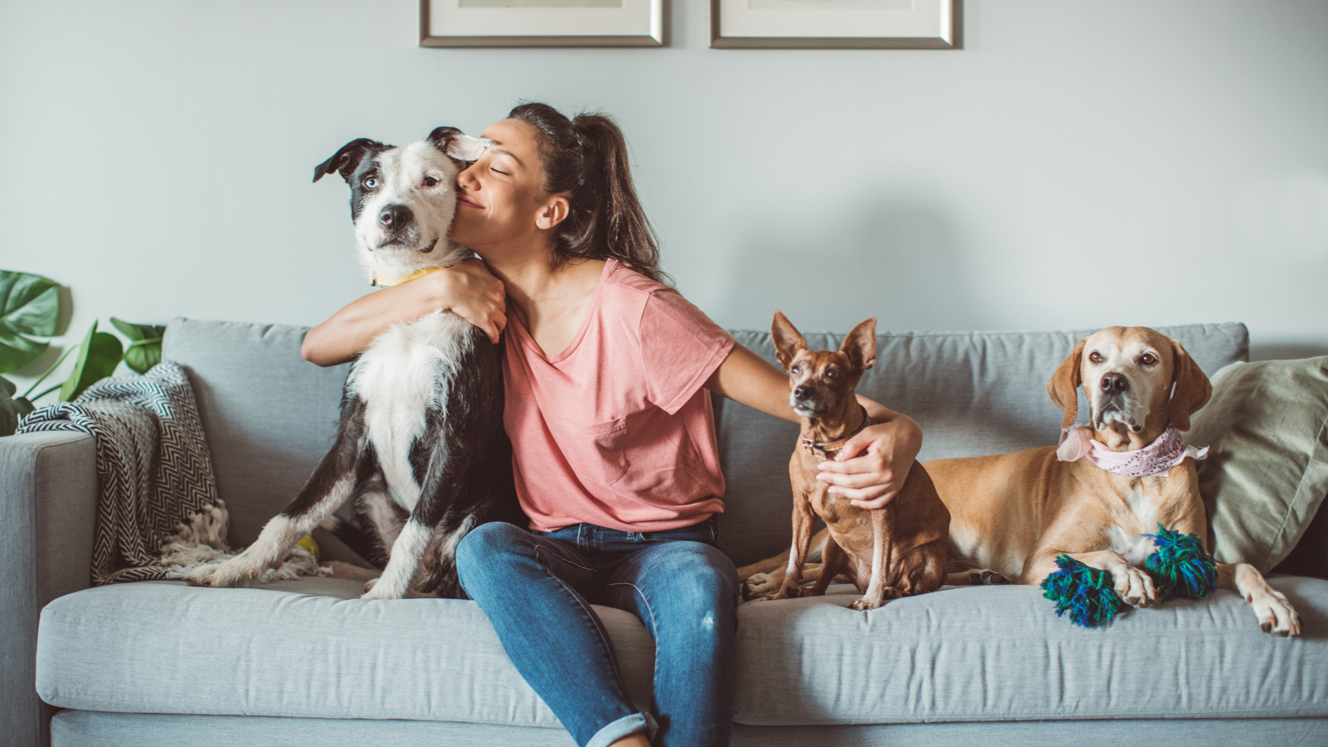 A woman sitting on a sofa with three dogs, showing love and bonding — a perfect example of pet care essentials for a happy and healthy home.