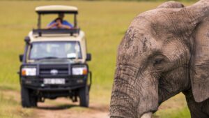 Wildlife Safaris in Africa featuring a safari jeep observing an elephant in its natural habitat