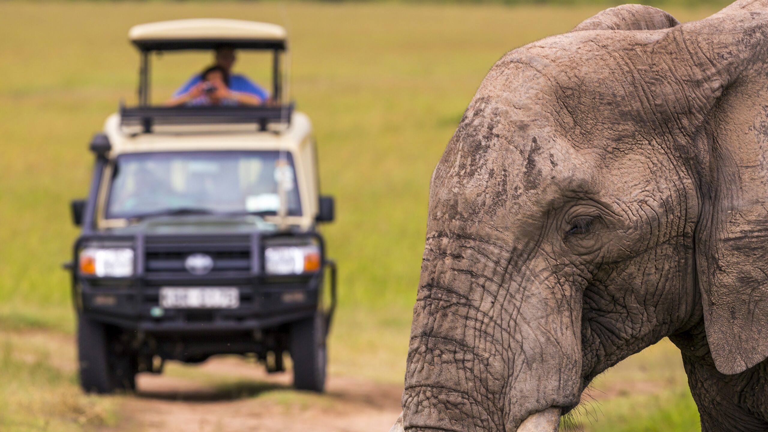 Wildlife Safaris in Africa featuring a safari jeep observing an elephant in its natural habitat