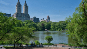 A peaceful view of Central Park showcasing the lake, green trees, and Manhattan skyline—perfect for illustrating Free Things to Do in New York City.