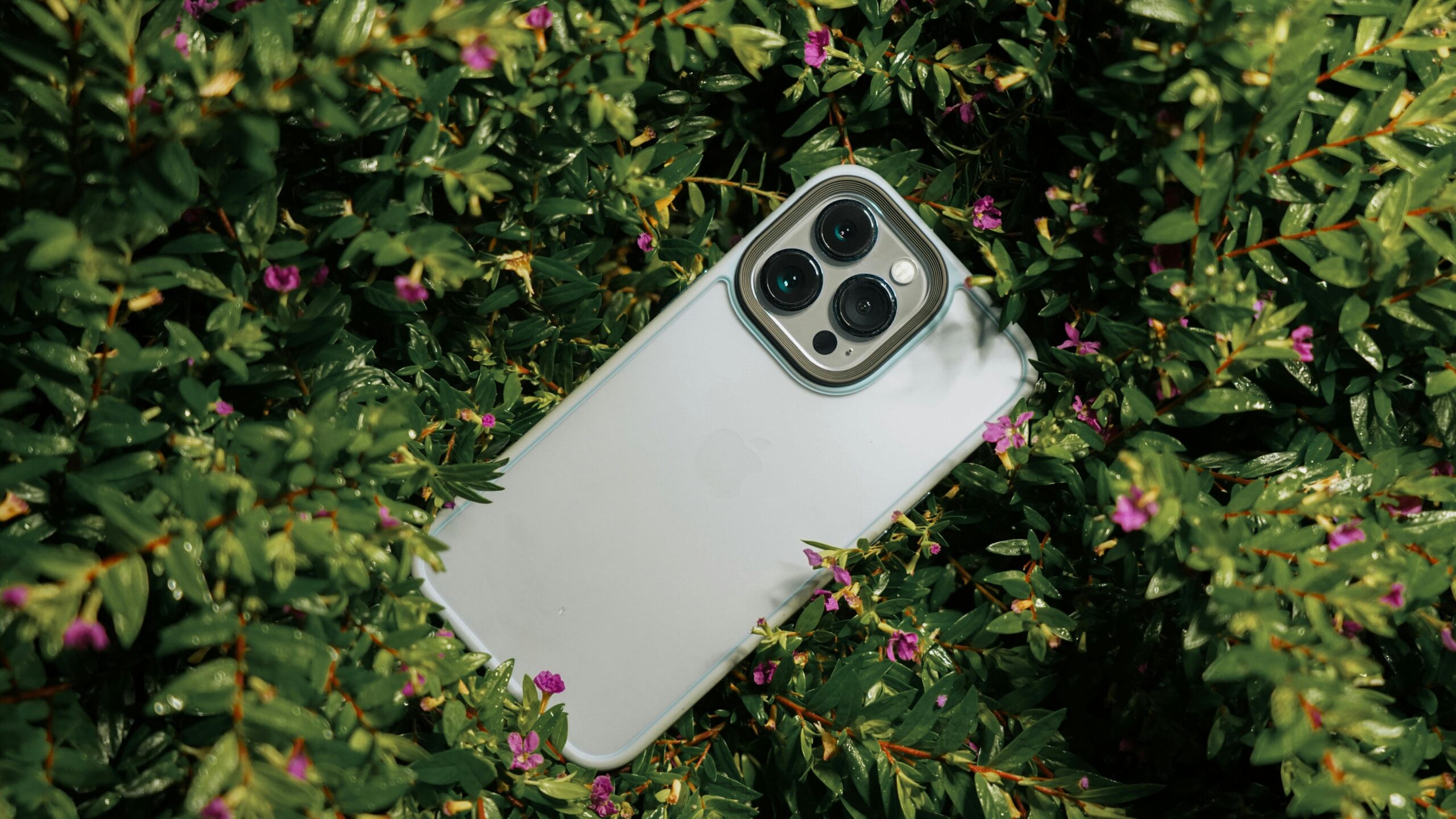 Hidden iPhone Camera Settings That Improve Photo Quality shown through an iPhone placed outdoors with natural lighting and greenery