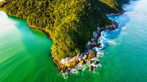 Aerial view of lush green forest meeting turquoise sea, illustrating Sea, Mountains, or Forest? Which Is Best for Your Mental Health