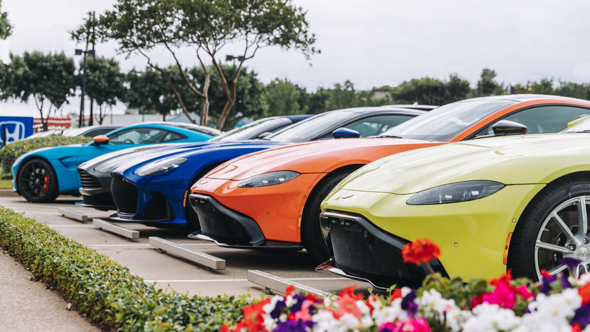 Lineup of colorful vehicles parked in a row, showcasing options similar to affordable cars for buyers in 2026.