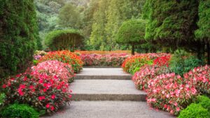 Easy garden ideas for small homes featuring a compact pathway surrounded by colorful flower beds