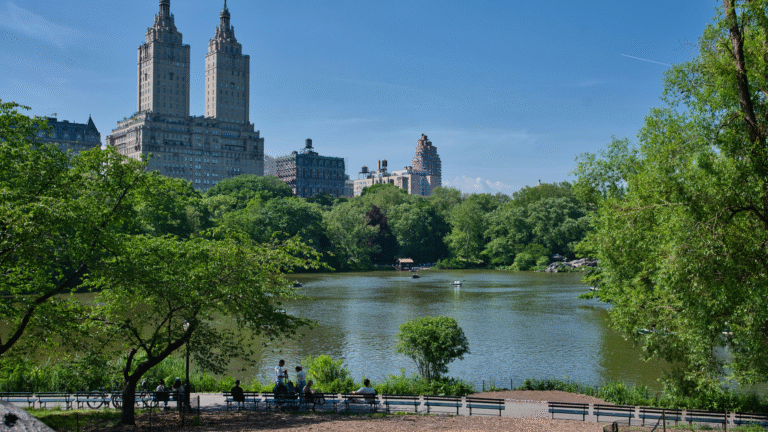 A peaceful view of Central Park showcasing the lake, green trees, and Manhattan skyline—perfect for illustrating Free Things to Do in New York City.