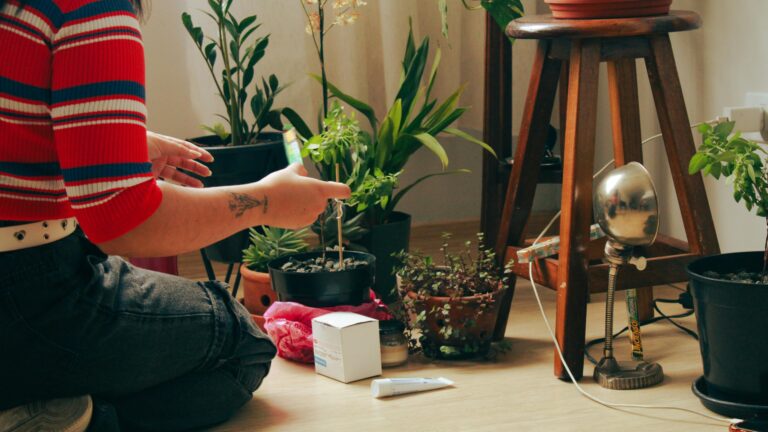 Low-light apartment gardening setup with potted plants and artificial lighting from Indoor Gardening Tips for Apartments Without Sunlight: The Complete 2026 Guide.