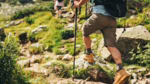 Hiking Trails for Beginners: Easy-to-Moderate Walks Worldwide with hikers using trekking poles on a scenic mountain trail surrounded by greenery.