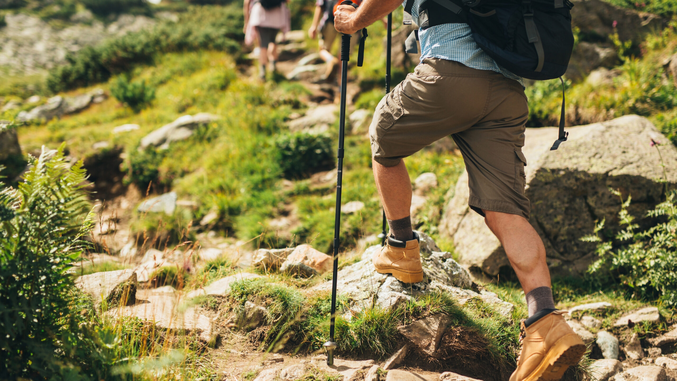 Hiking Trails for Beginners: Easy-to-Moderate Walks Worldwide with hikers using trekking poles on a scenic mountain trail surrounded by greenery.