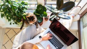 How to Start a Digital Marketing Freelance Service on a Budget while working from home with a laptop, plants, and a cat in a cozy workspace.