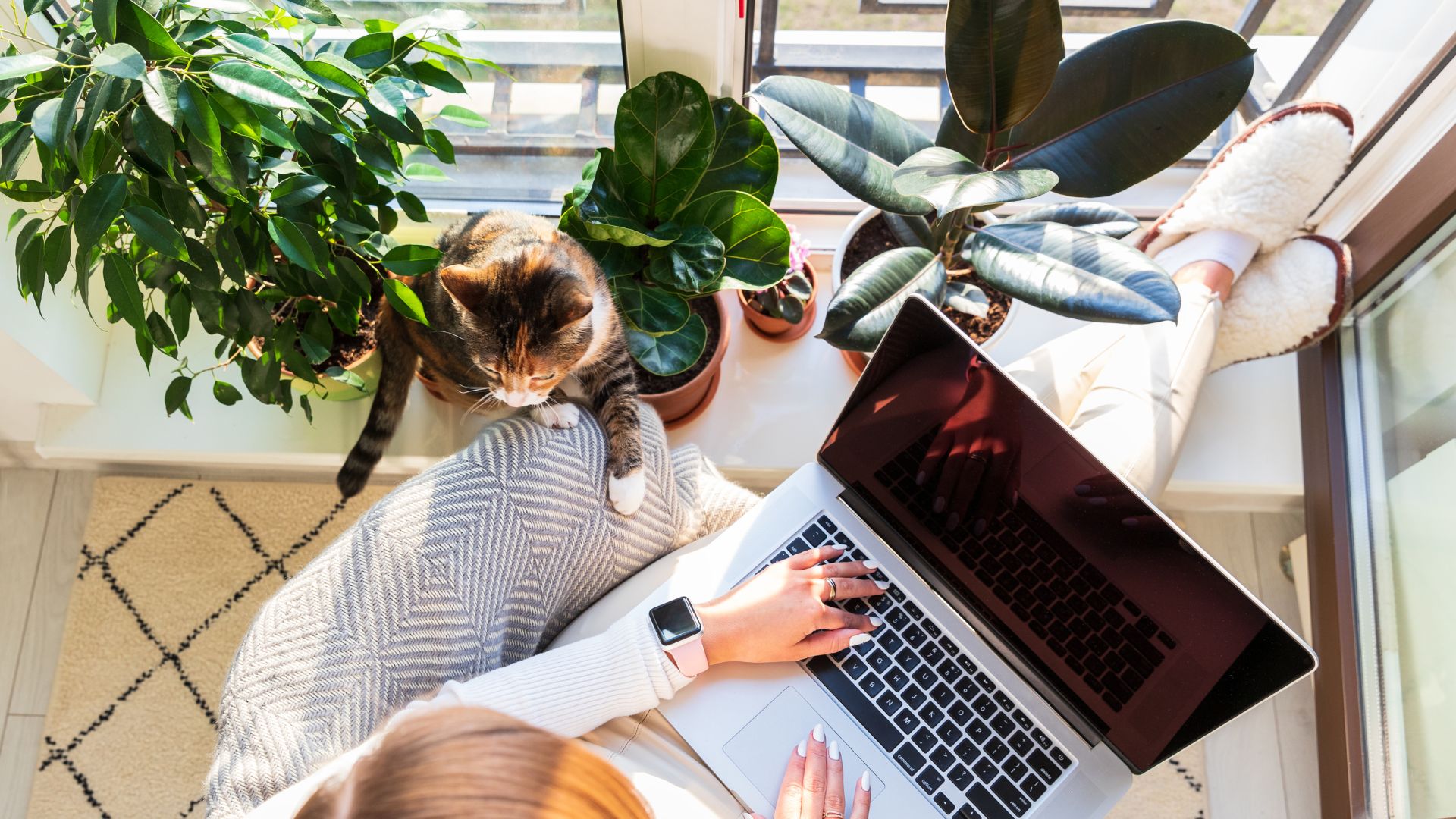 How to Start a Digital Marketing Freelance Service on a Budget while working from home with a laptop, plants, and a cat in a cozy workspace.