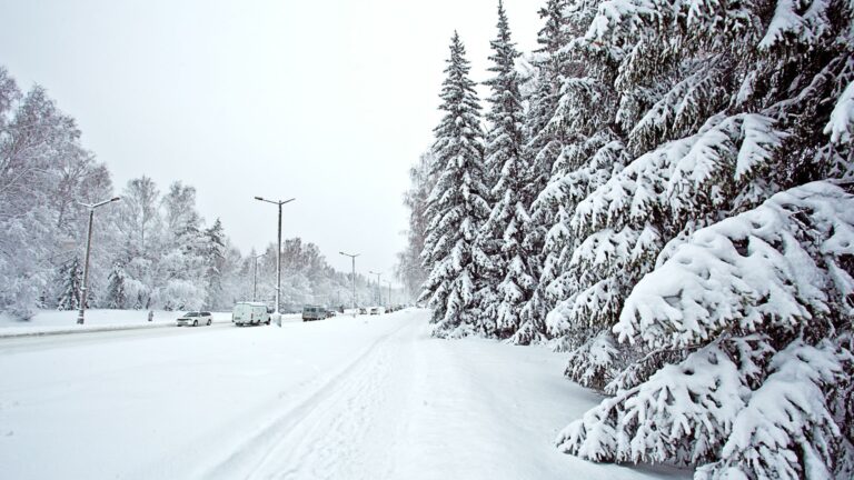 Surviving -30°C van life on a snow-covered Arctic road with winter-ready vehicle and essential gear for extreme cold nomads